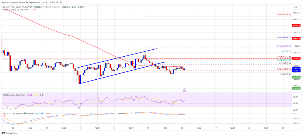 Bitcoin Price Faces Uphill Task, Risk of Additional Losses Below $42K Looms