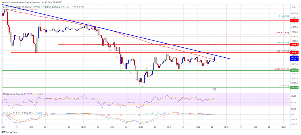 Bitcoin Price Eyes Recovery But Can BTC Bulls Regain Strength?