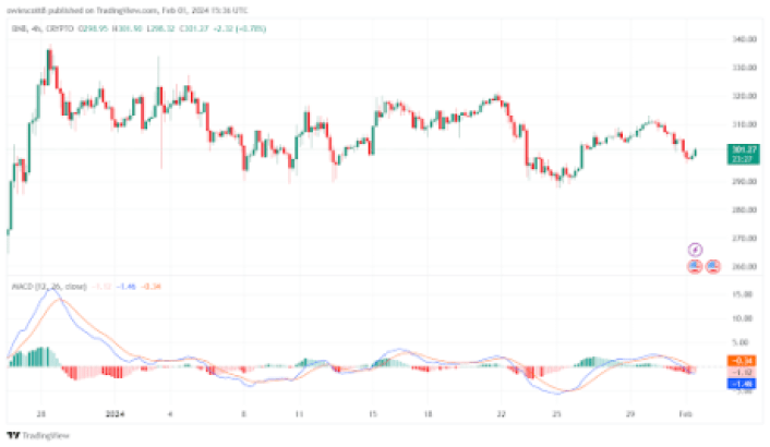 Will BNB Continue To Drop Or Bounce Back To Create A New All-Time High?