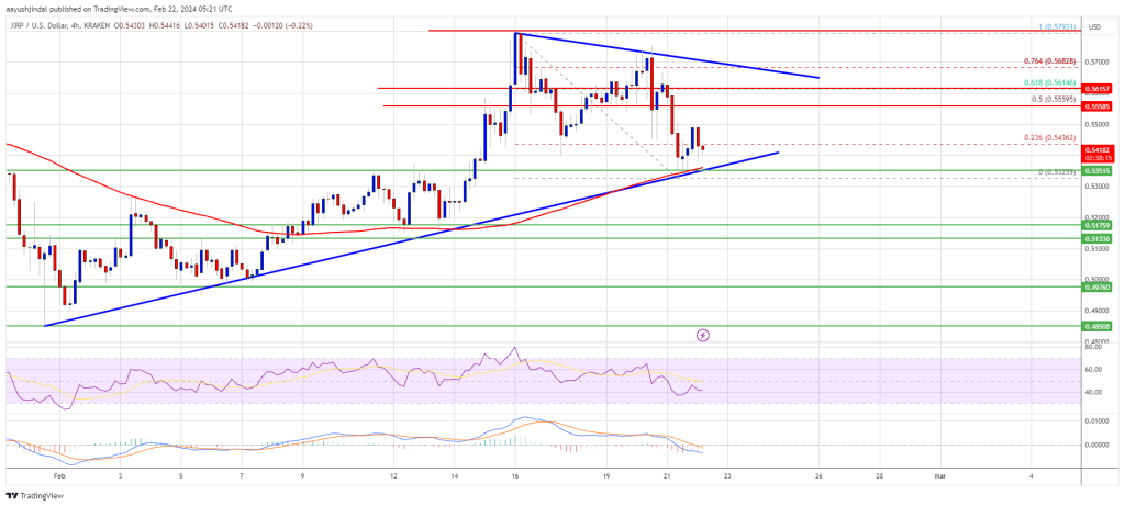 Bulls Take Hit But This Level Could Trigger Another Increase