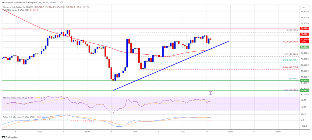 Bitcoin Price Targets Recovery: Will It Surpass the $60K Mark?