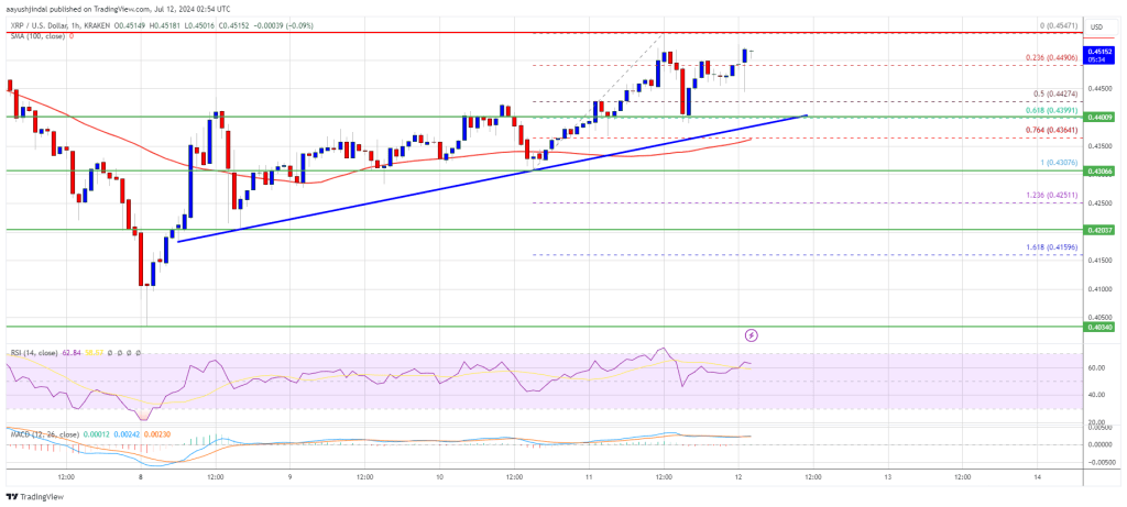 XRP Price Shows Increased Strength: Can It Sustain The Recovery?