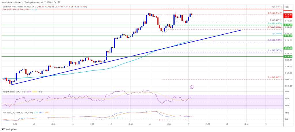 What’s Next for the Altcoin Giant?