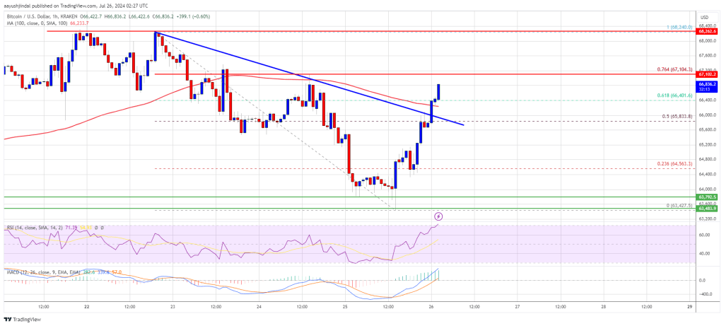 Bitcoin Price Recovers Lost Ground: Is the Bull Run Back?